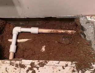 土默特测漏水哪家好