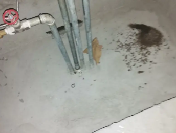 土默特卫生间测漏水价格明细